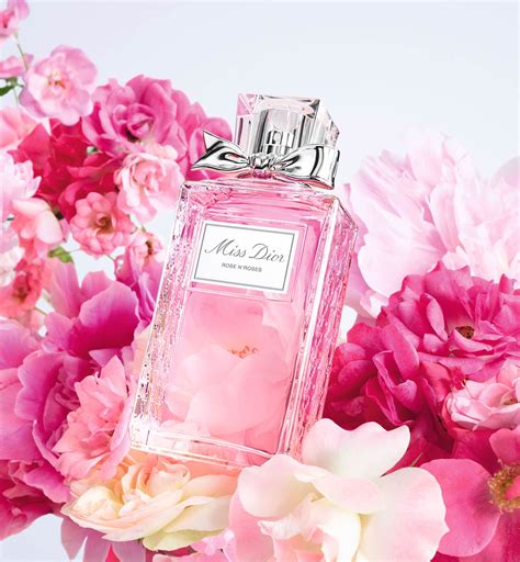 dior miss dior rose n'roses e|Miss Dior rose n roses fragrantica.